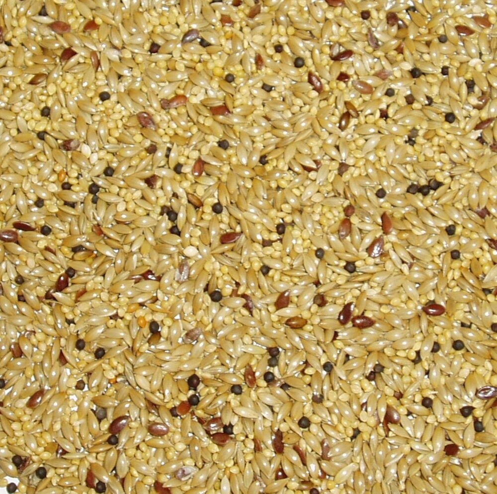 Topflite Aviary Canary Mix, Bag Size: 2kg