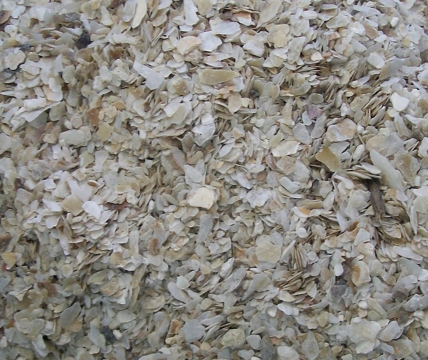 Topflite Poultry Oyster Shell Grit Coarse