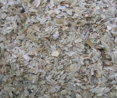 Topflite Poultry Oyster Shell Grit Coarse