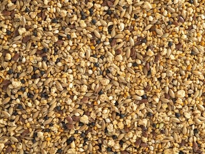 Topflite Aviary Quail Mix