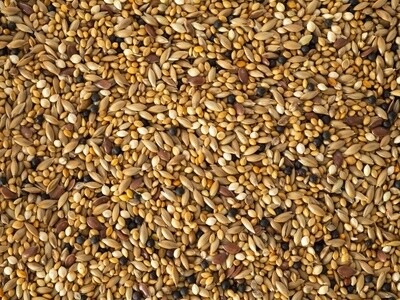 Topflite Aviary Finch Mix
