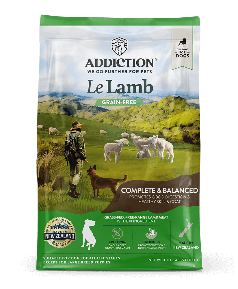 Addiction Le Lamb, Size: 15kg