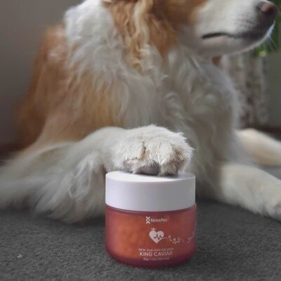 Korure Pets Salmon Caviar for Dogs