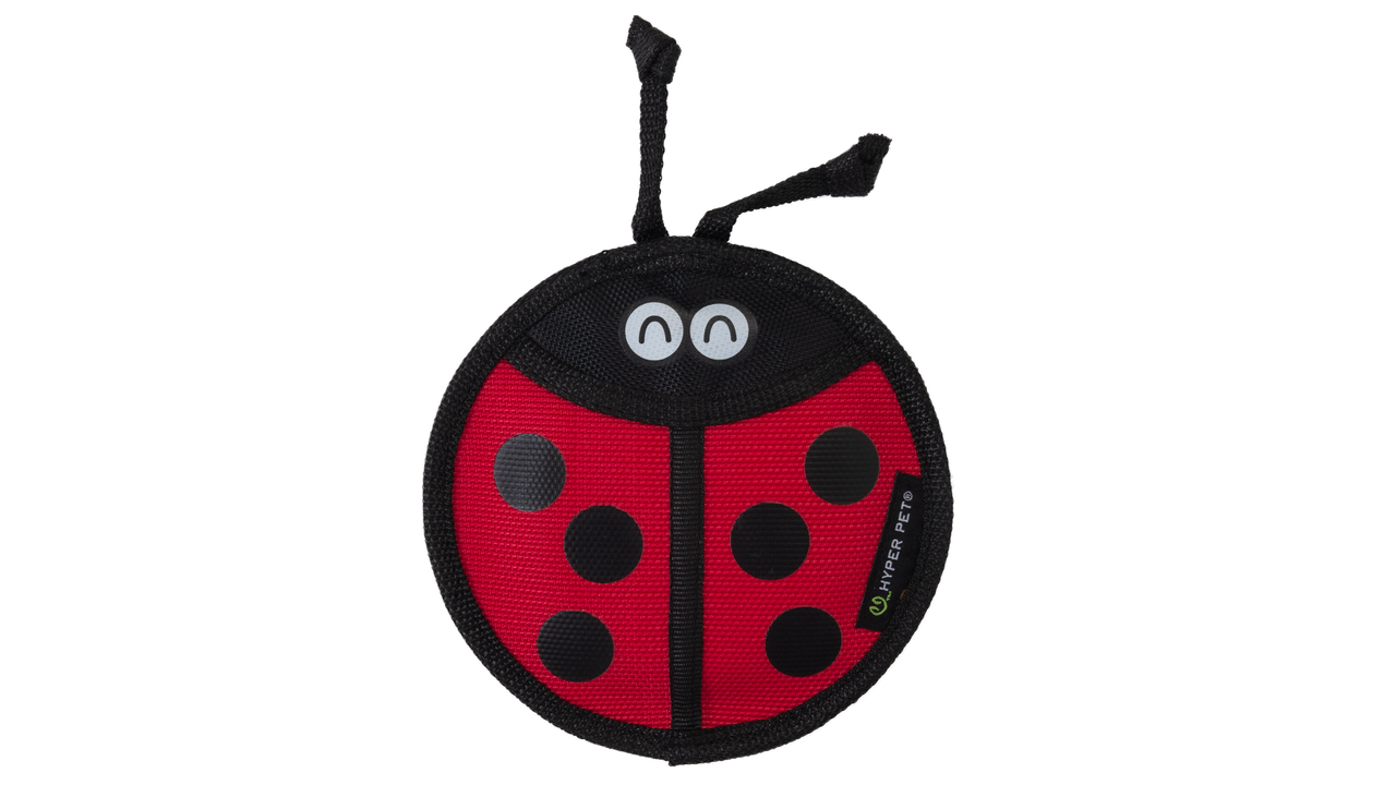 Firehose Flyers Ladybug