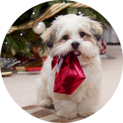 Christmas Gift Ideas