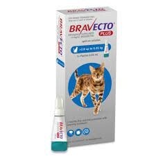 Bravecto Spot On PLUS For Cats