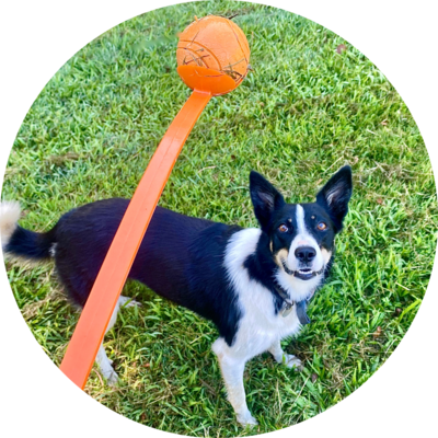 Throw &amp; Fetch