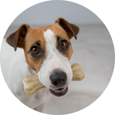 Rawhide Treats