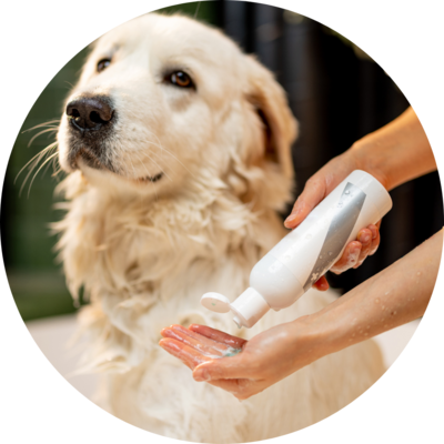 Shampoos &amp; Conditioner