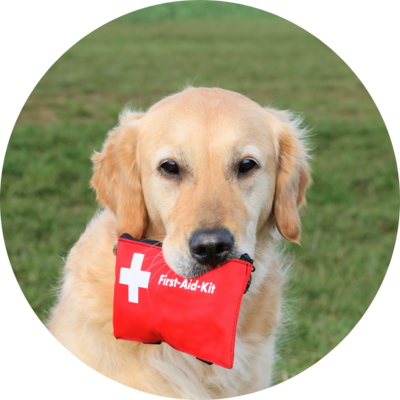 First Aid &amp; Topical Products