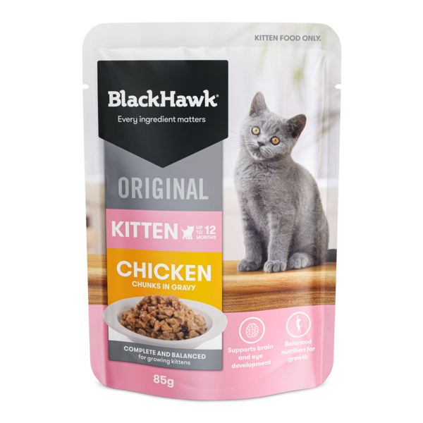 Blackhawk Kitten Chicken &amp; Gravy Sachets, Flavour: 85g Sachets