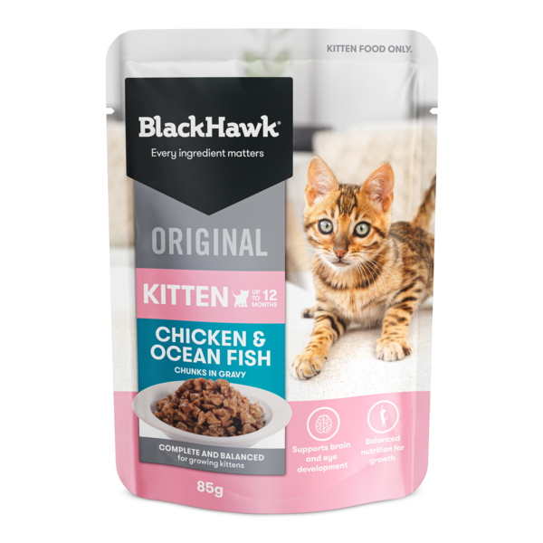 Blackhawk Kitten Chicken &amp; Ocean Fish Sachets, Flavour: 85g Sachets