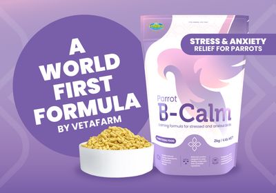 Parrot B-Calm Pellets