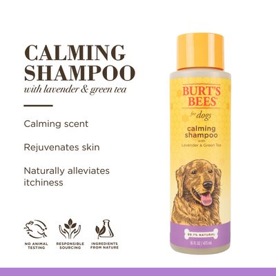 Burt's Bees Calming Shampoo