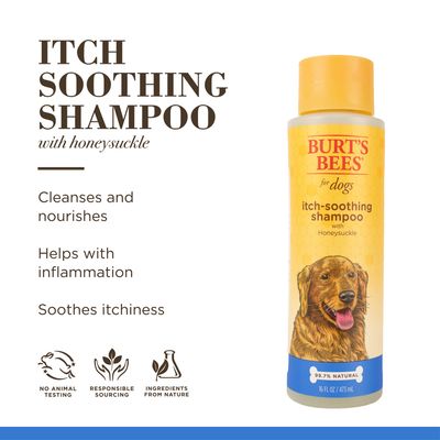 Burt's Bees Itch Soothing Shampoo