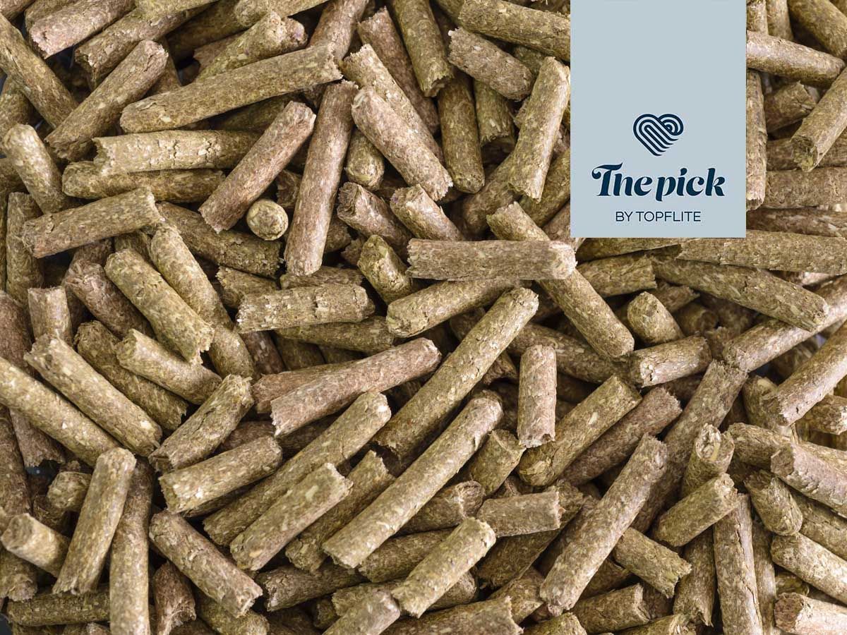 The Pick – Fibre Feast for Guinea Pigs