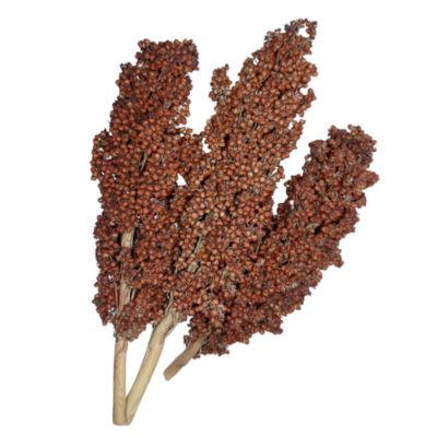Topflite Sorghum Sprays