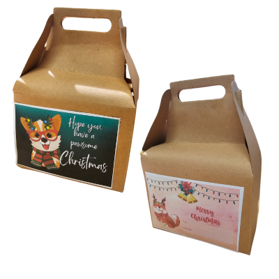 Christmas Gift Box
