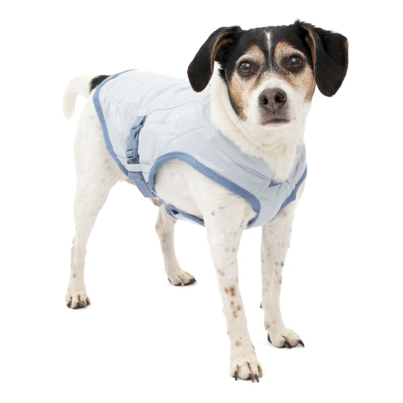 Kurgo Core Cooling Vest, Size: Small