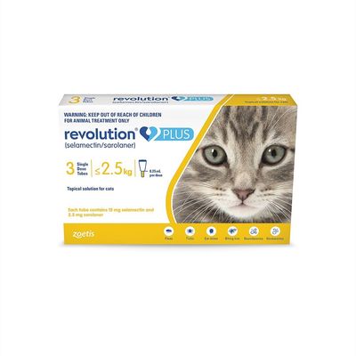 Revolution Plus Cat