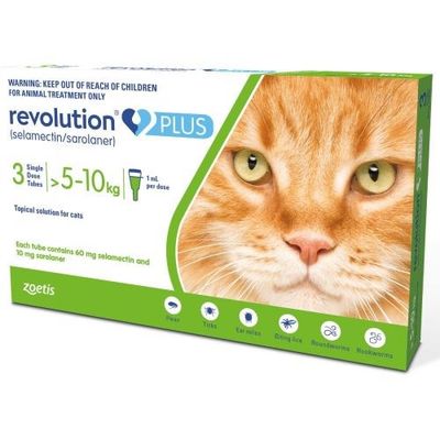 Revolution Plus Cat