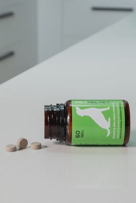 NZVEL Deer Velvet General Wellbeing Supplement