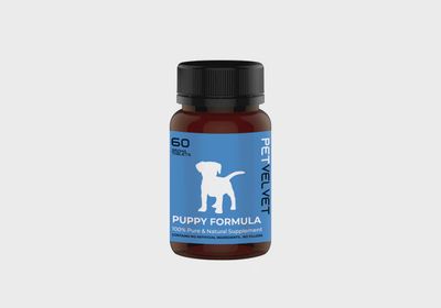 NZVEL Deer Velvet Puppy Formula