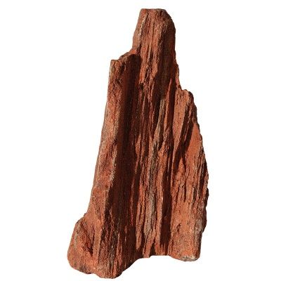 Aqua One Petrified Wood