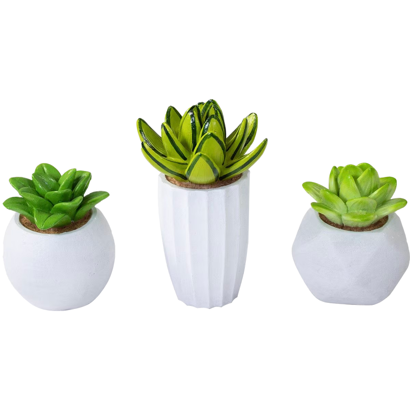 Penn-Plax Succulent Resin Aquarium Kit