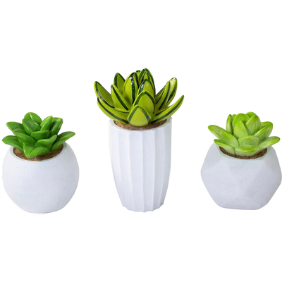 Penn-Plax Succulent Resin Aquarium Kit