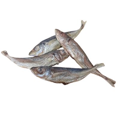 Topflite Mackerel (freeze dried)