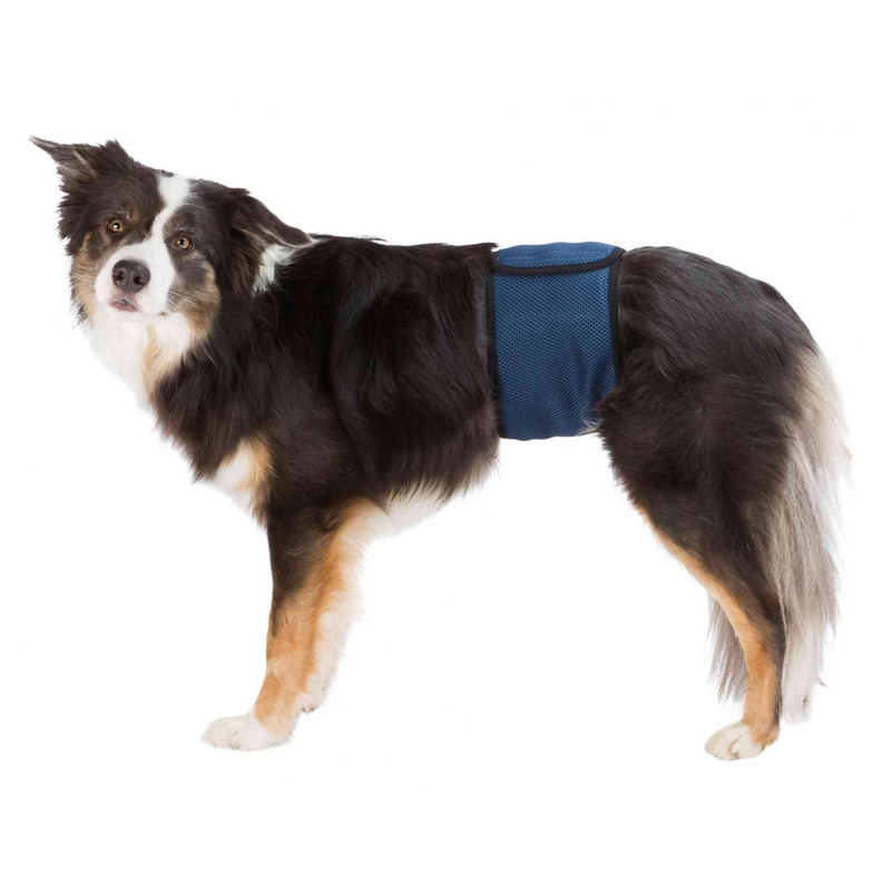 Trixie Belly Bands for Male Dogs
