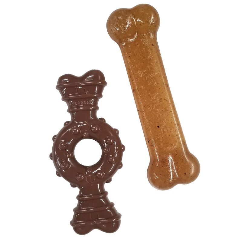 Nylabone Puppy Chew Twin Pack