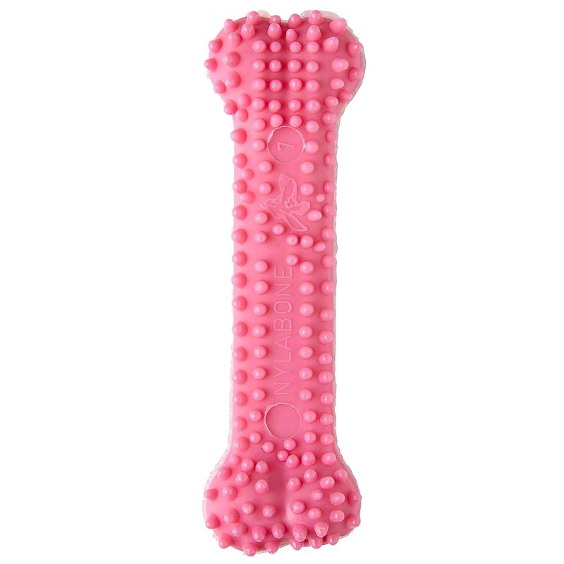 Nylabone Puppy Chew Pink