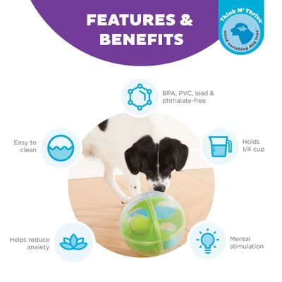 Outward Hound Nina Ottosson A-Maze Ball