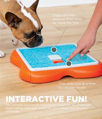 Outward Hound Nina Ottosson Challenge Slider
