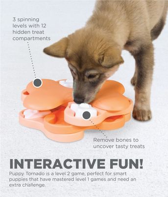 Outward Hound Nina Ottosson Puppy Tornado