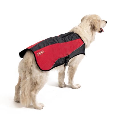 EzyDog Element Jacket Scarlet