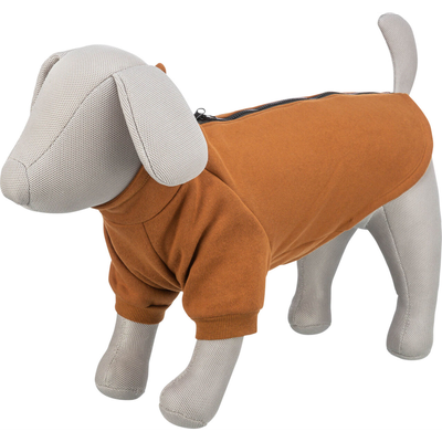 Trixie Amsterdam Sweatshirt - Rust