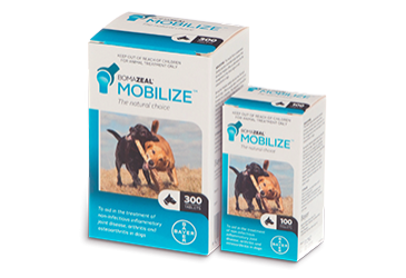 Bomazeal Mobilize