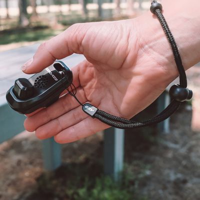 EzyDog - Command Clicker