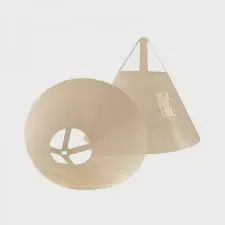 Elizabethan Collar