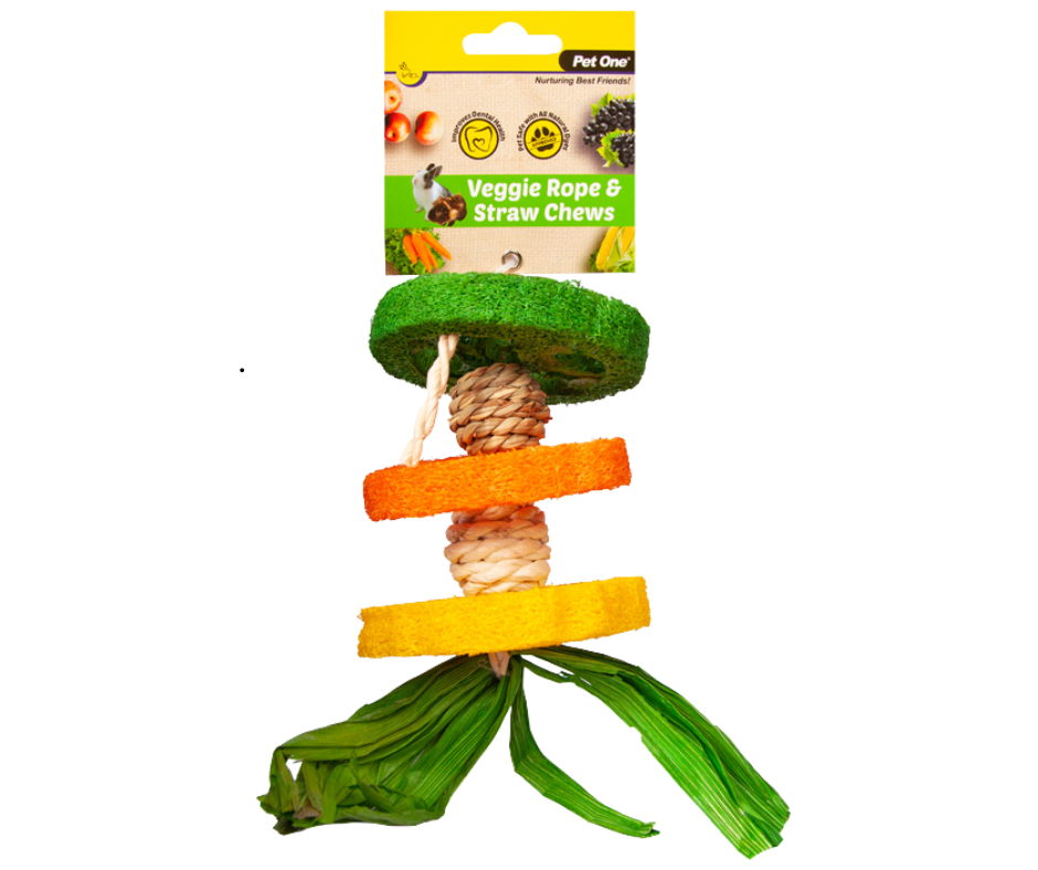 Veggie Chew Hanging Hula