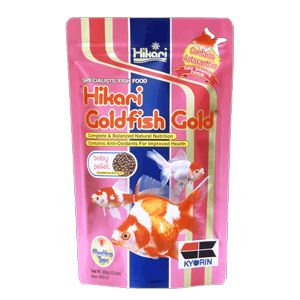 Hikari Goldfish Gold Baby