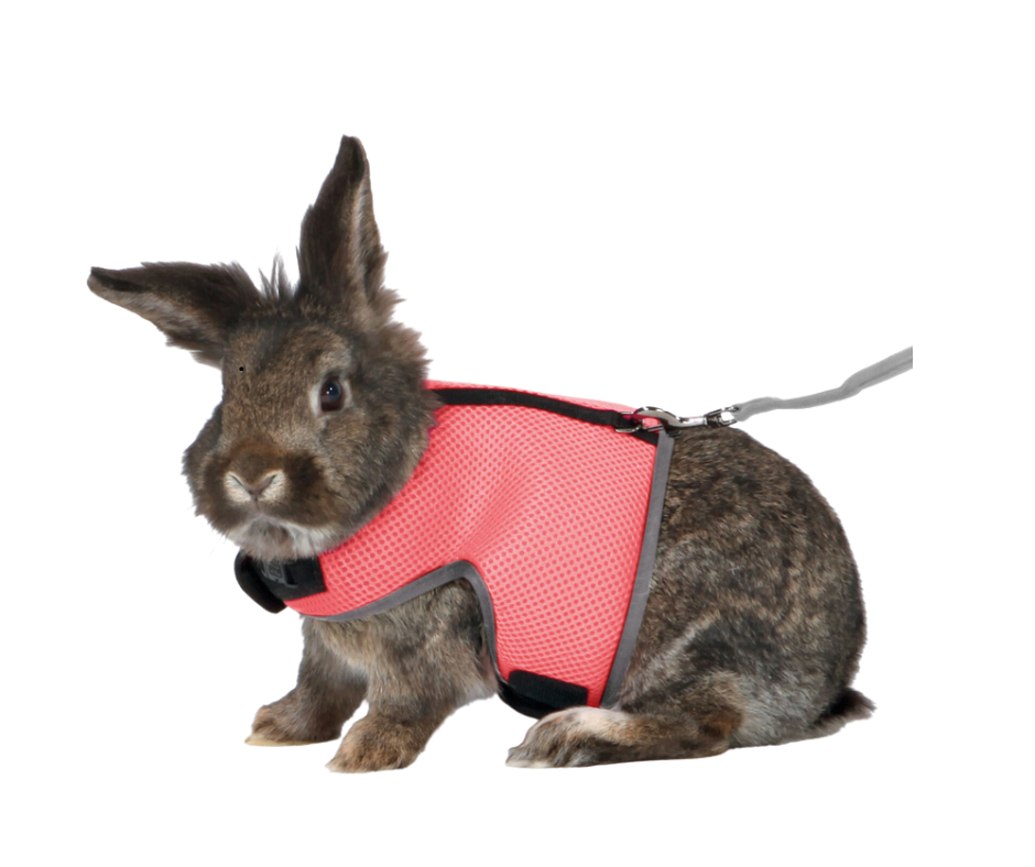Soft Harness - Rabbits