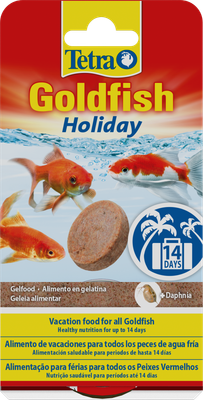 Tetra Goldfish Holiday