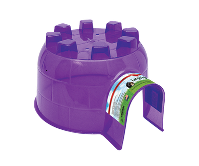 Large Igloo