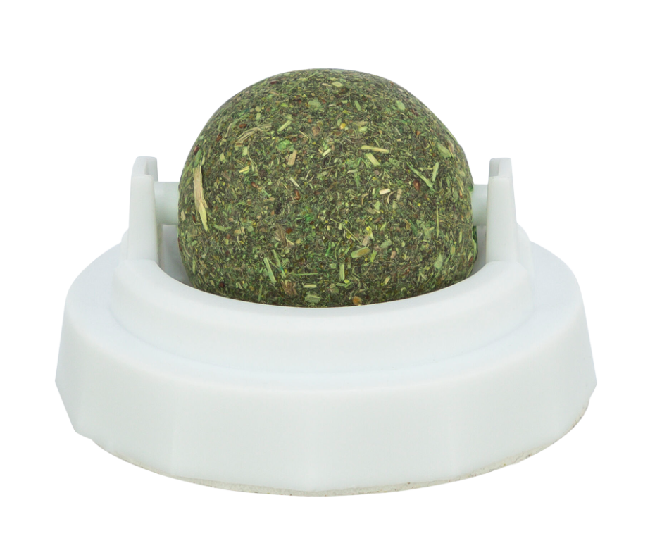 Catnip Ball with Holder