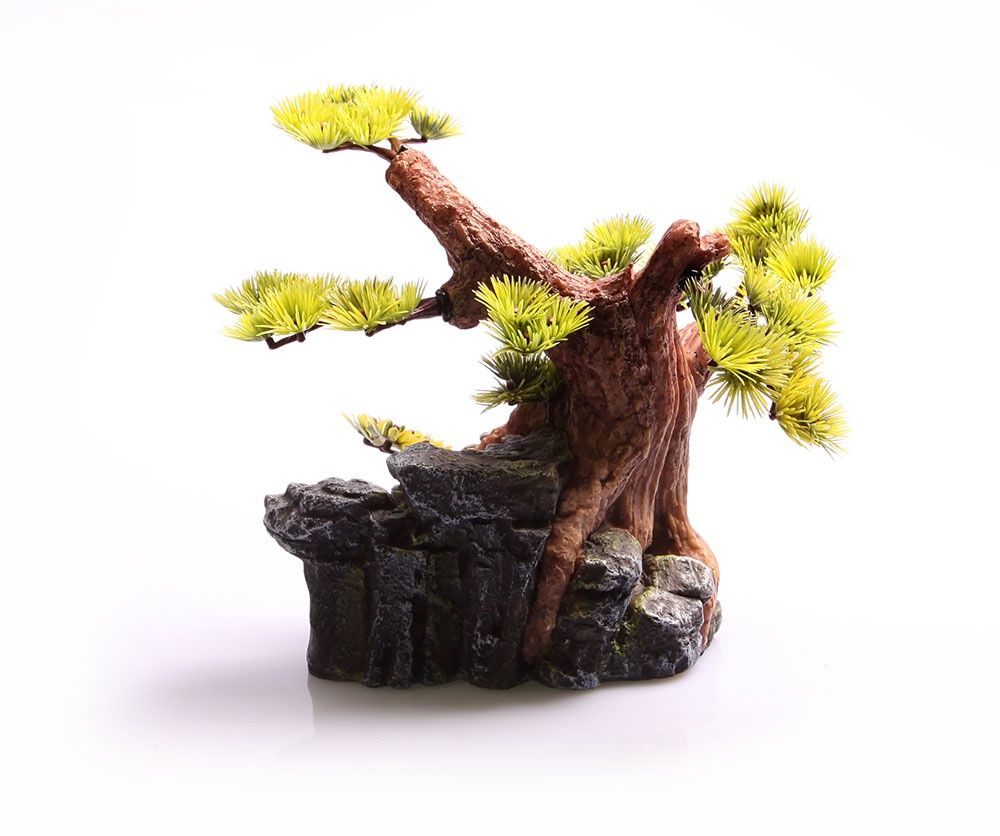 Brooklands Rock with Bonsai Tree