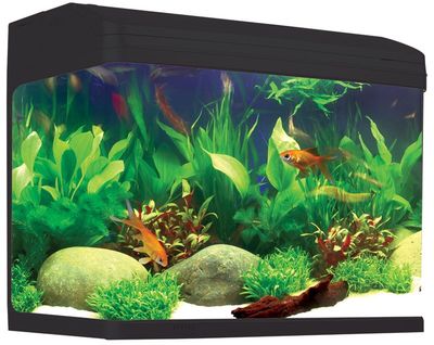 Aqua One AR620 AquaStyle Tank Gloss Black 90L